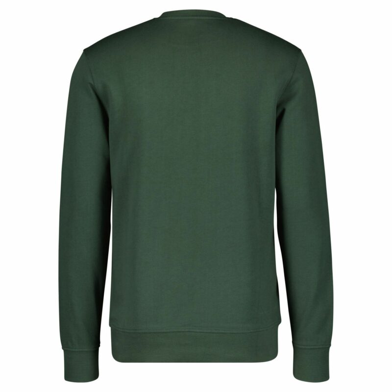 MS CREWNECK VERDE SMOKED SUDADERA SCOTT CASUAL 289267 - Imagen 2