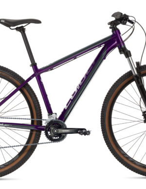 bicicleta-montana-coluer-ascent-293-purpura-negro-modelo-2022-rg-bikes-silleda