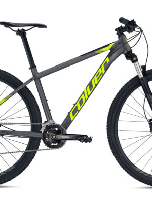 bicicleta-montana-coluer-pragma-294-modelo-2022-gris-brillo-rg-bikes-silleda