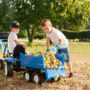 remolque-para-tractor-infantil-rolly-mega-trailer-azul-rolly-toys-121106-rg-bikes-silleda-1
