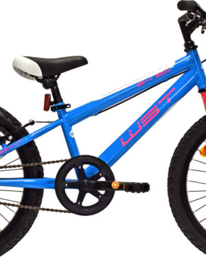 bicicleta-infnatil-junior-wst-elegant-20-color-azul-rosa-sin-suspension-1-velocidad-rg-bikes-silleda-dp084