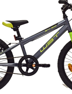 bicicleta-infnatil-junior-wst-elegant-20-color-gris-verde-sin-suspension-1-velocidad-rg-bikes-silleda-dp084