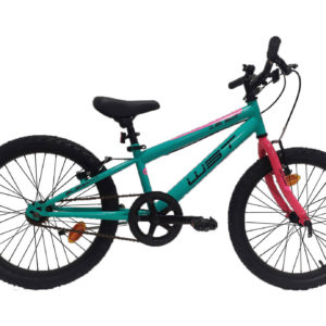 bicicleta-infnatil-junior-wst-elegant-20-color-verde-turquesa-rosa-sin-suspension-1-velocidad-rg-bikes-silleda-dp084