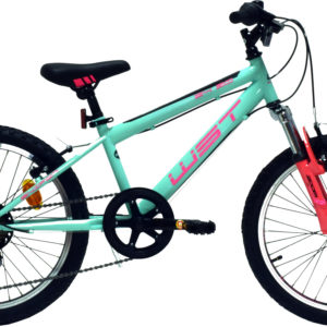 bicicleta-infnatil-junior-wst-sniper-20-color-turquesa-rosa-con-suspension-6-velocidades-rg-bikes-silleda-eu001