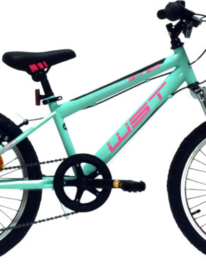 bicicleta-infnatil-junior-wst-sniper-20-color-turquesa-rosa-con-suspension-6-velocidades-rg-bikes-silleda-eu001