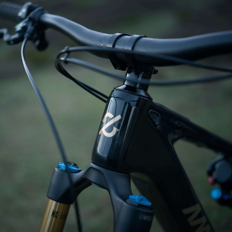 AMFLOW PL CARBON PRO (800wh) BICICLETA ELECTRICA CARBONO - Imagen 6